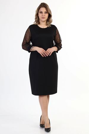 Kolları Parlak Puanlı Büyük Beden Elbise 35B-1638