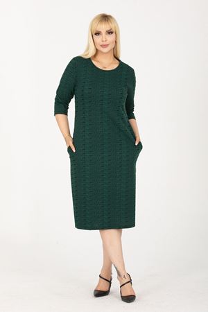 Jakarlı Cepli Kışlık Büyük Beden Elbise 24A-2435