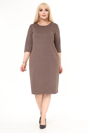Cepli Kışlık Büyük Beden Elbise 42B-2488