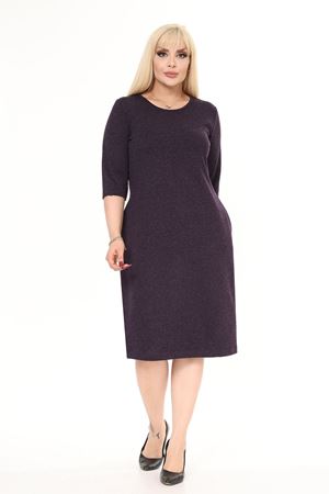 Cepli Kışlık Büyük Beden Elbise 42B-2489