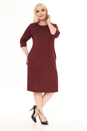Cepli Kışlık Büyük Beden Elbise 27C-2490